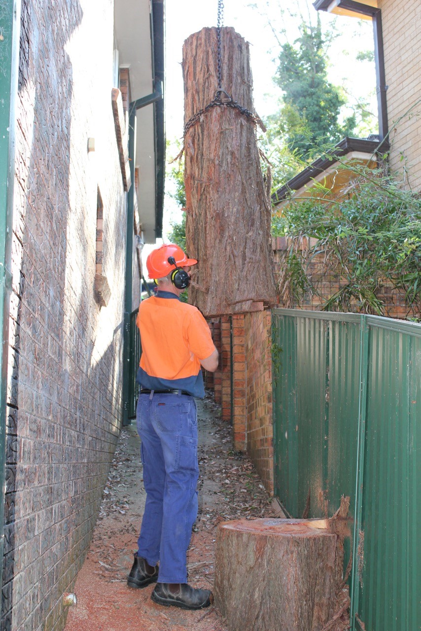 Tree limb drop off sites jefferson city mo