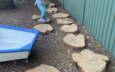 Recycled tree trunks as stepping stones