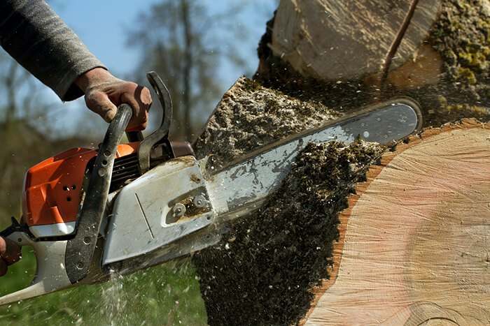 Man cuts a fallen tree in Pennant Hills