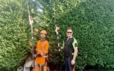 Home Owners Beware of Dodgy Tree Loppers